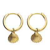 Shell Huggie Hoops in Gold
