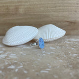 PALM COVE Treasure Ring
