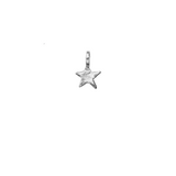 Signature Mini Star Pendant