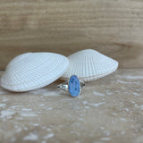 PALM COVE Treasure Ring